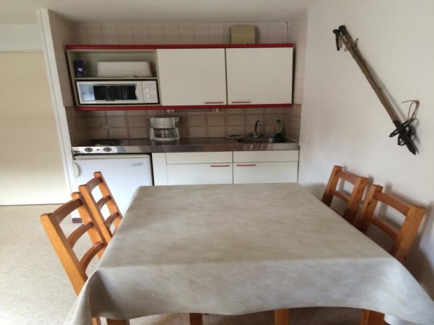 Appartement 1 Pièce(s) 4 personnes - MORILLON 1100 - 4 pers, 20 m2, 1/0 - Morillon 1100 Les Esserts