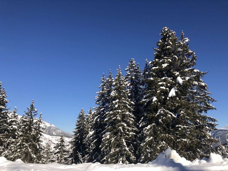 Appartment Cheval Noir CHN14VIC - Valmorel