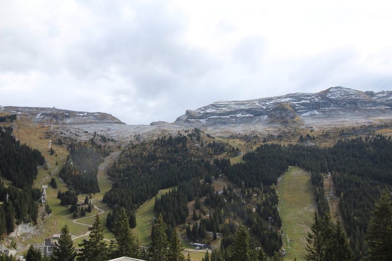 Appartment Andromede ANA407 - Flaine Forêt 1700