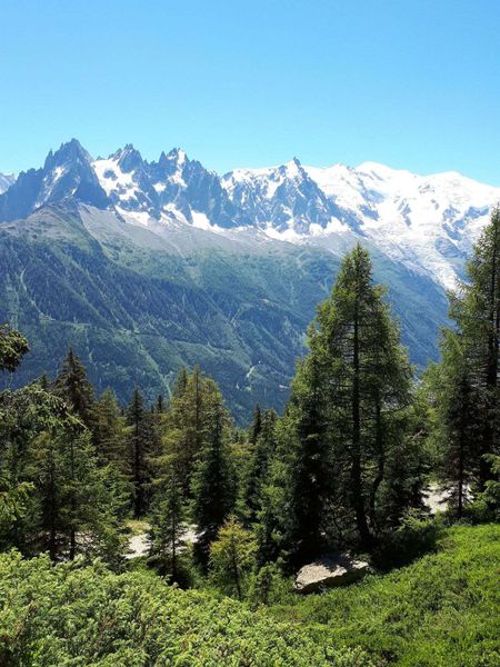 Appartment Portes Du Grand Massif PGMD05 - Flaine Le Hameau 1800