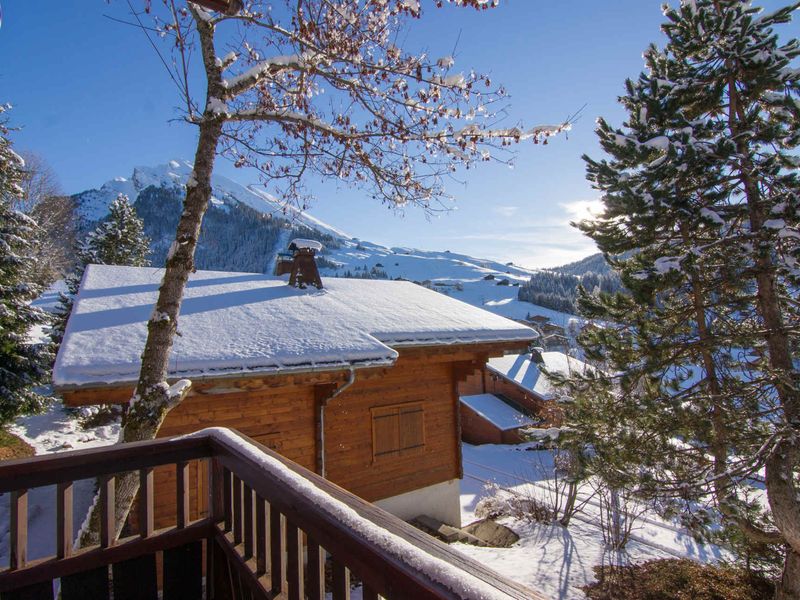 CHALET DE LA PISTE DU SOLEIL - La Clusaz