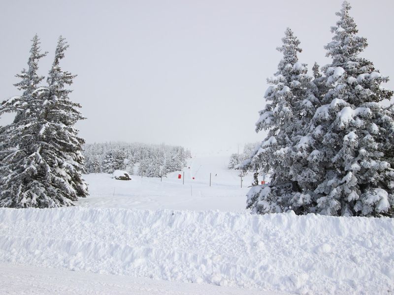 Résidence LA GRIVE - Chamrousse