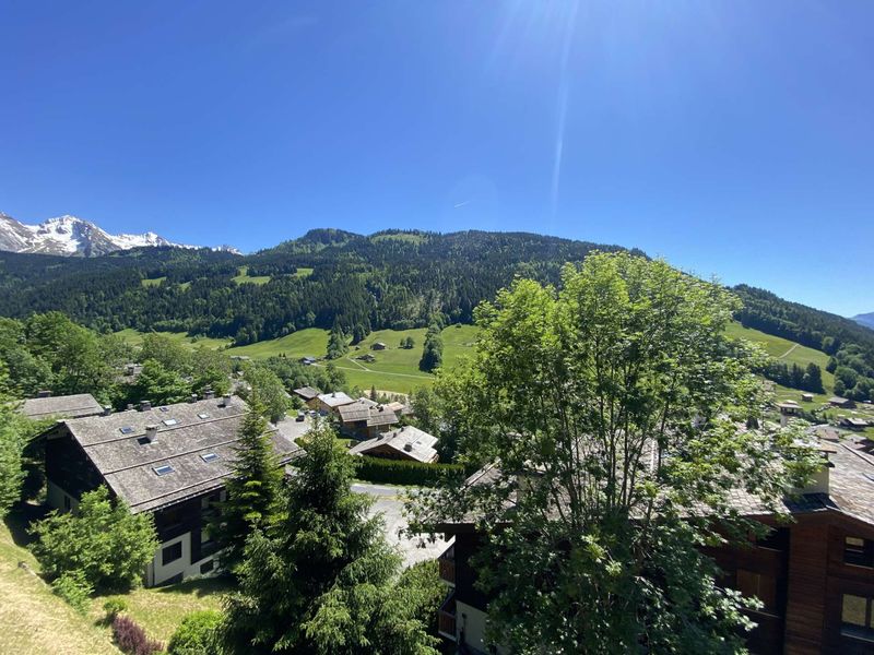 Charming Renovated Studio with Cabine, Sleeps 5, South-Facing Balcony near Ski Lift - Le Grand-Bornand FR-1-458-125 - Le Grand Bornand