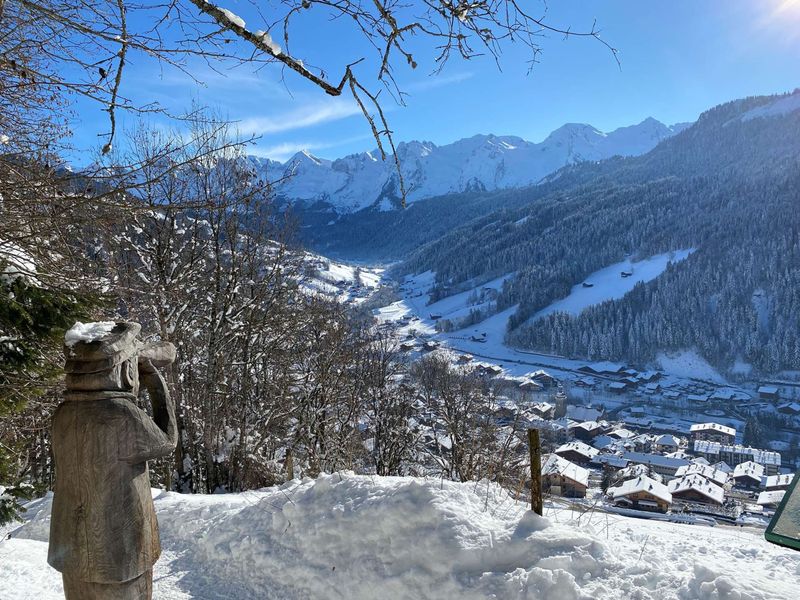 Charming 2-Room Mezzanine Apt in Grand-Bornand Village, Sleeps 4, Balcony, Steps from Ski Lifts FR-1-458-155 - Le Grand Bornand