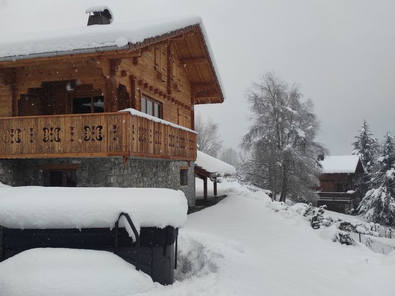 CHALET LES LUPINS - Morillon Village