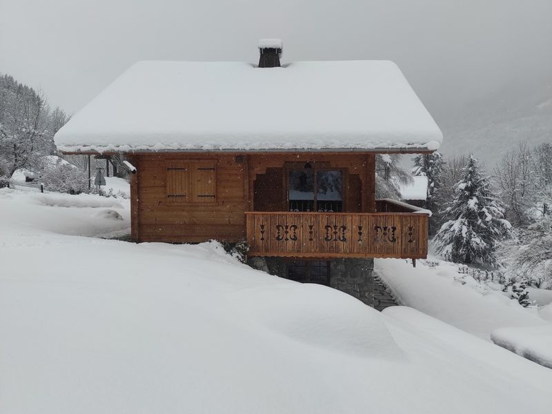 CHALET LES LUPINS - Morillon Village