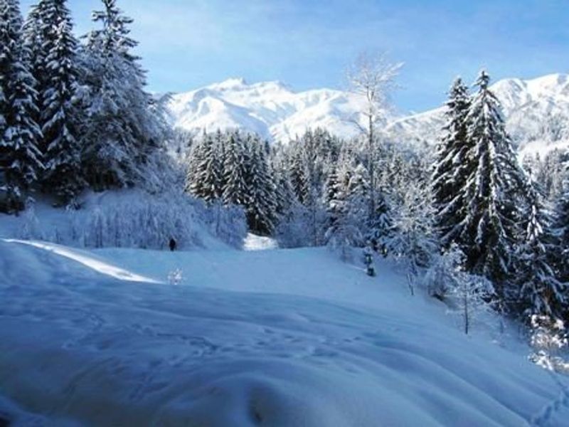 Résidence Cheval Blanc - Valmorel