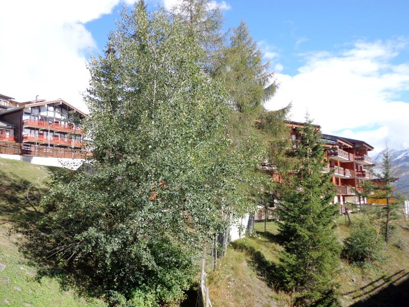 Les Niverolles NV008 - La Rosière
