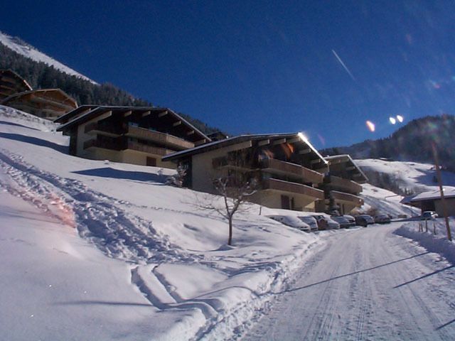 Apartements LE HAMEAU DES QUATRE SAIS - Châtel