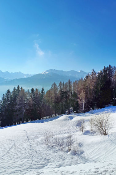 Apartment Les Mischabels - Crans - Montana