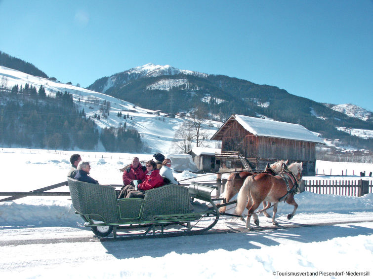 Apartment Mooslehen - Kaprun