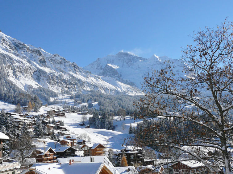 Apartment Rose - Wengen 