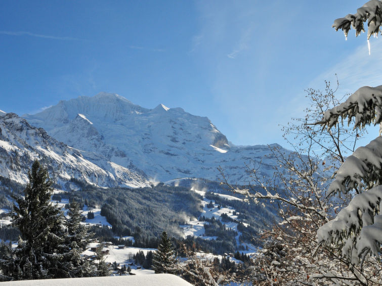 Apartment Rose - Wengen 