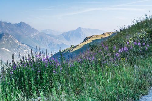 chalet 13 rooms 31 people - Chalet LE BETTEX - Saint Martin de Belleville