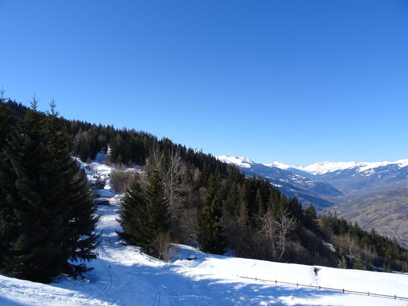 Apartements ADRET - Les Arcs 1600