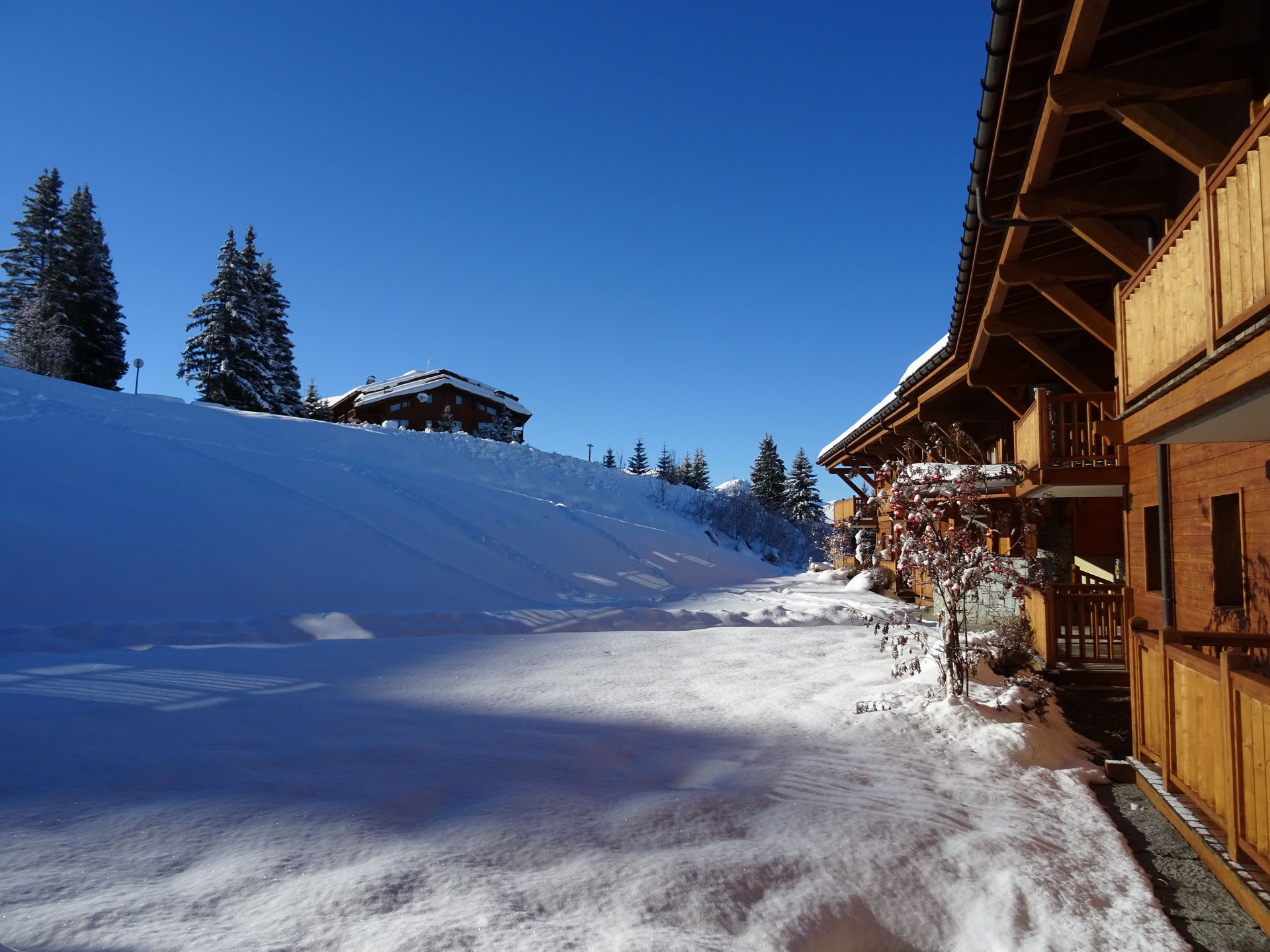 Apartments Les Gentianes - Apartments Saint Bernard - Les Arcs 1800