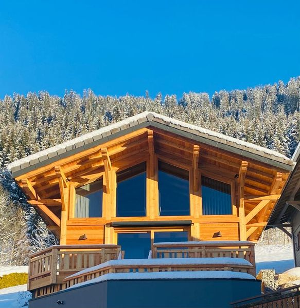 2 pieces 4 persons - Chalet LE PETIT CHALET - Châtel