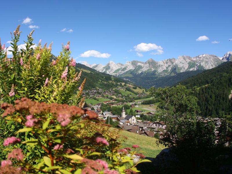 Studio Le Grand-Bornand, studio flat, 3 persons - Mountain-style studio with balcony, mountain views and wellness access FR-1-467-38 - Le Grand Bornand