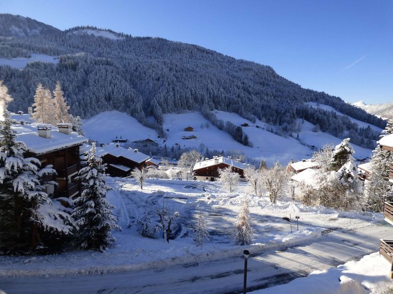 Studio Le Grand-Bornand, 1 room, 4 people - Résidence MILLEPERTUIS B - Le Grand Bornand