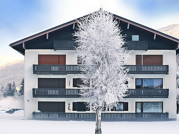 Apartment 2 rooms 3 persons Comfort - Apartment Dachstein - Flachau