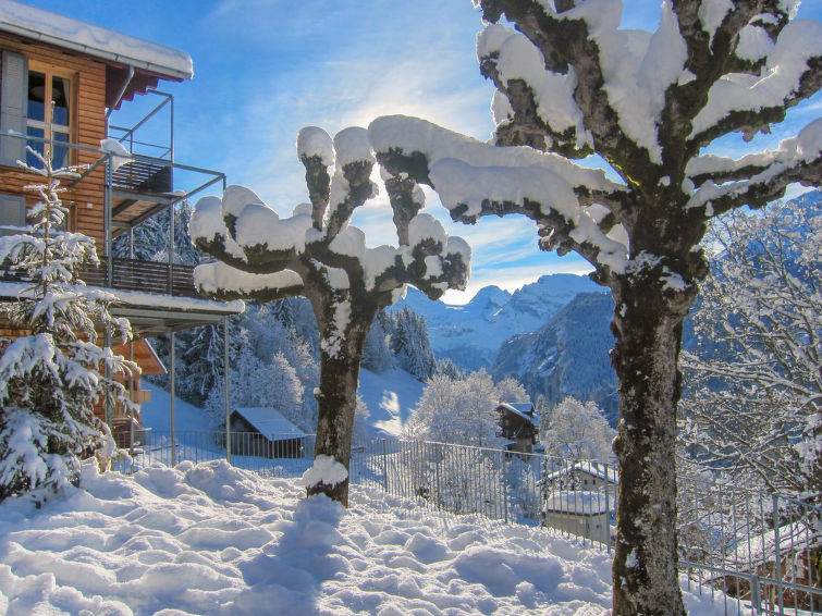 Apartment 2 rooms 2 persons Comfort - Apartment Breithorn-Residence - Wengen