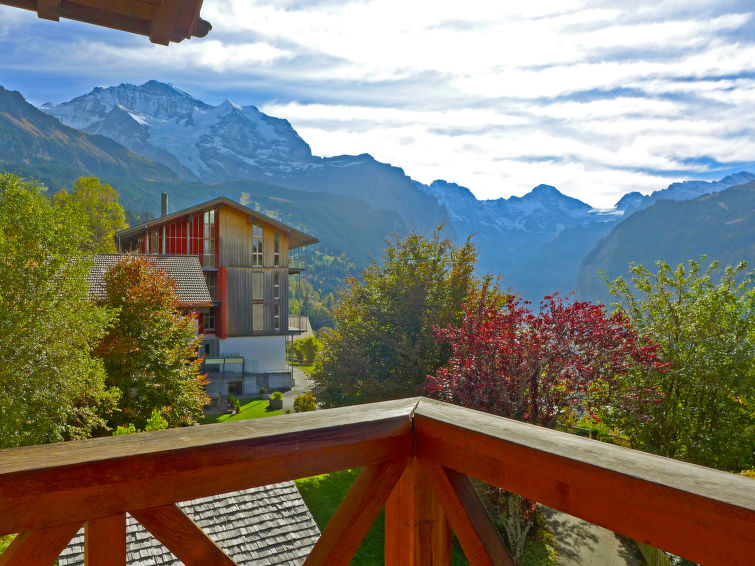 Apartment Rose - Wengen