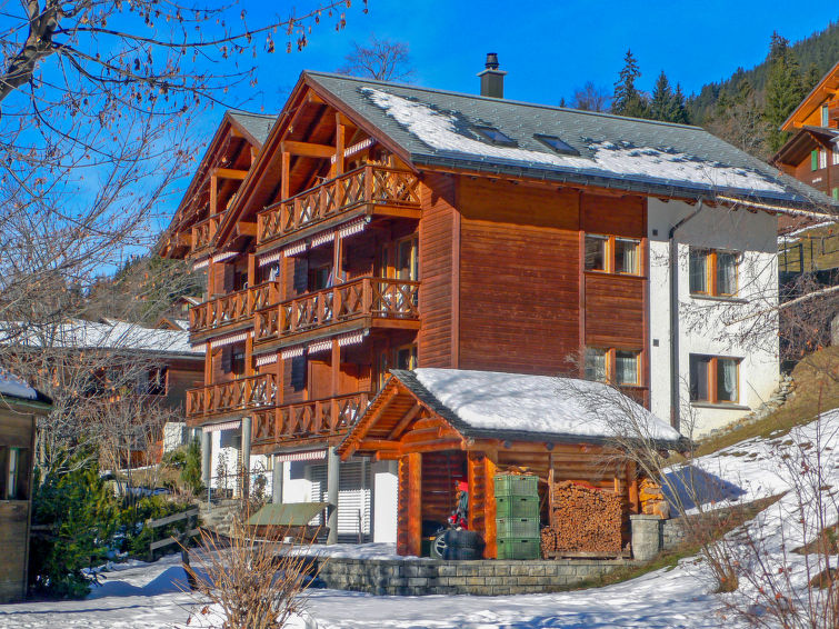 Apartment Rose - Wengen 