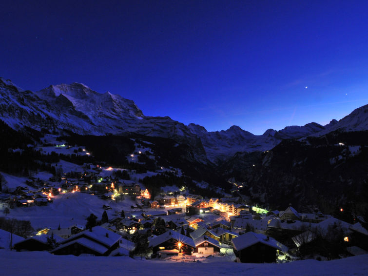 Apartment Rose - Wengen 