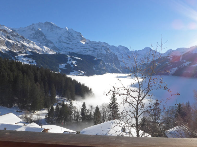 Châlet 2 rooms 3 persons Comfort - Châlet Jungfrau an der Ledi - Wengen 