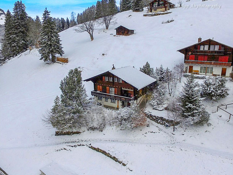 Châlet 3 rooms 5 persons Comfort - Châlet Jungfrau an der Ledi - Wengen