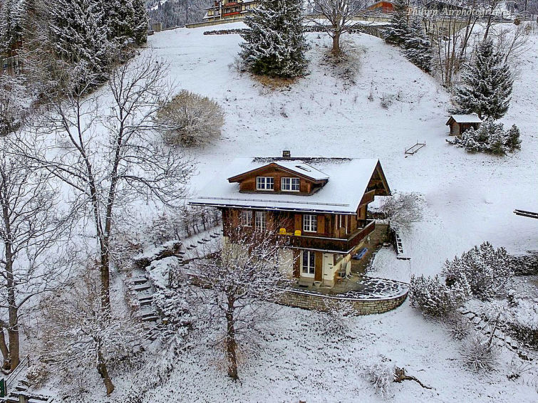 Apartment 3 rooms 4 persons Comfort - Apartment Drei Tannen - Wengen