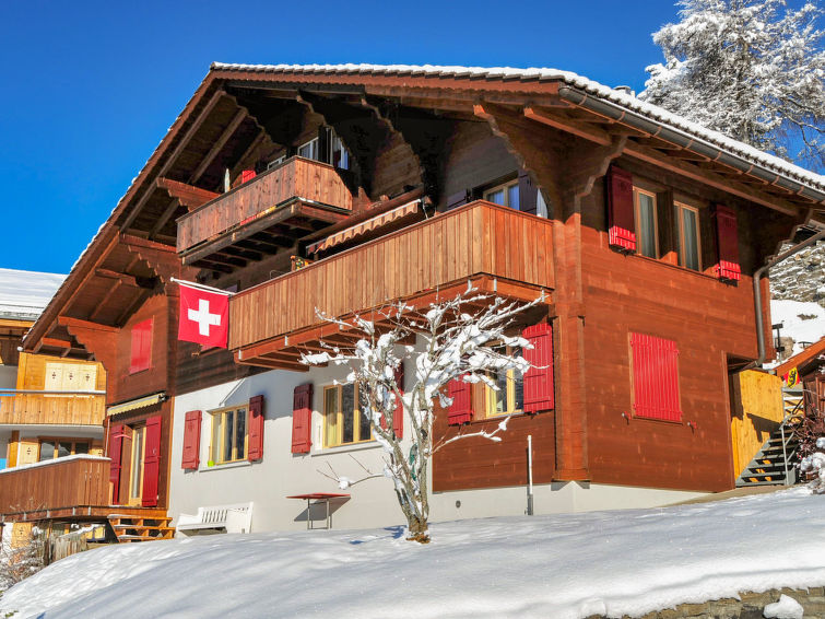 Apartment 2 rooms 4 persons Comfort - Apartment Eigersonne - Wengen 