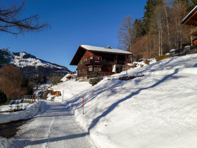 Châlet 1 rooms 2 persons Comfort - Châlet Helene Christel - Wengen 