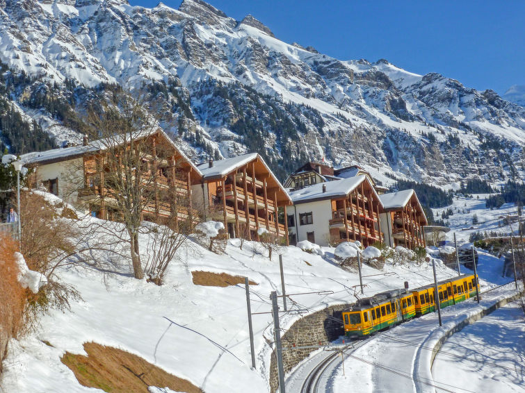 Apartment 1 rooms 2 persons Comfort - Apartment Krokus - Wengen