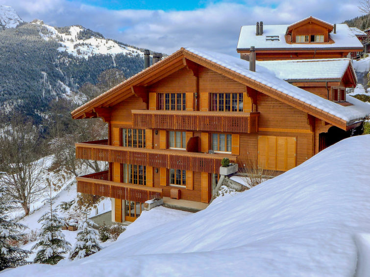 Apartment 4 rooms 6 persons Comfort - Apartment Panorama - Wengen