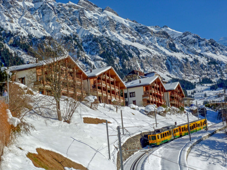 Apartment 2 rooms 4 persons Comfort - Apartment Primula - Wengen