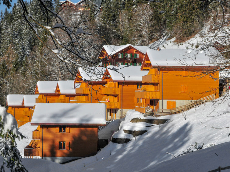 Apartment 5 rooms 8 persons Comfort - Apartment Racer’s Retreat - Wengen 