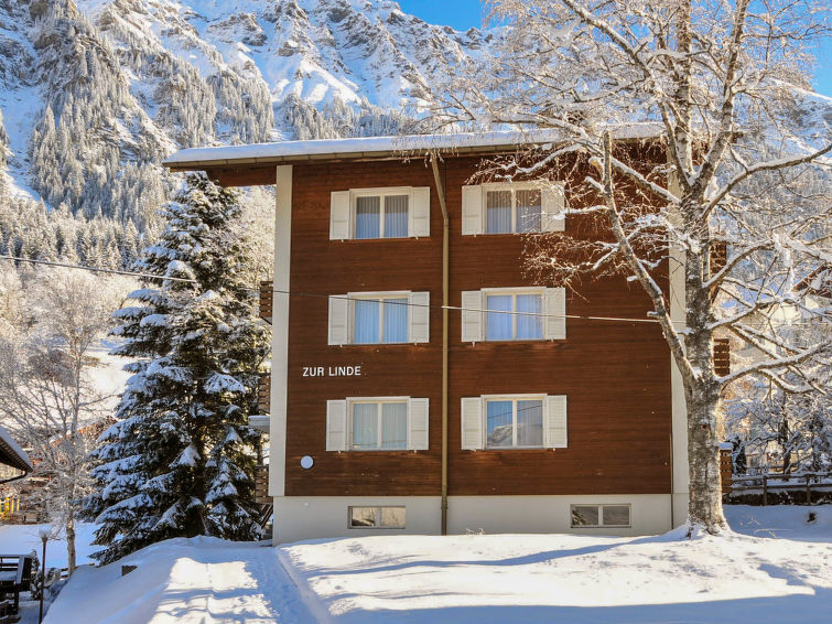 Apartment 3 rooms 4 persons Comfort - Apartment Zur Linde - Wengen
