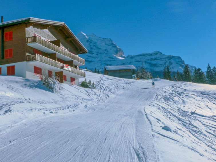 Apartment 3 rooms 5 persons Comfort - Apartment Tschingelhorn - Wengen 