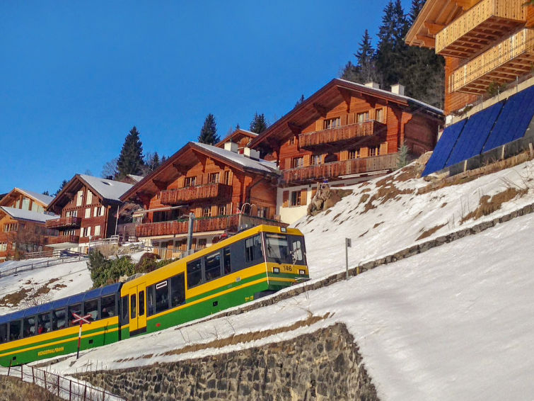 Apartment 2 rooms 2 persons Comfort - Apartment Chalet Bluemewäg - Wengen