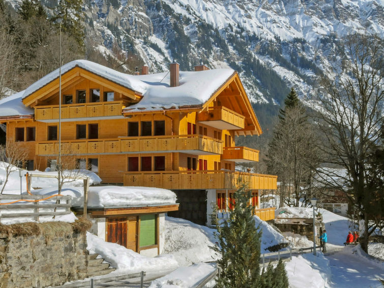 Apartment 3 rooms 4 persons Comfort - Apartment Bergfrieden - Wengen