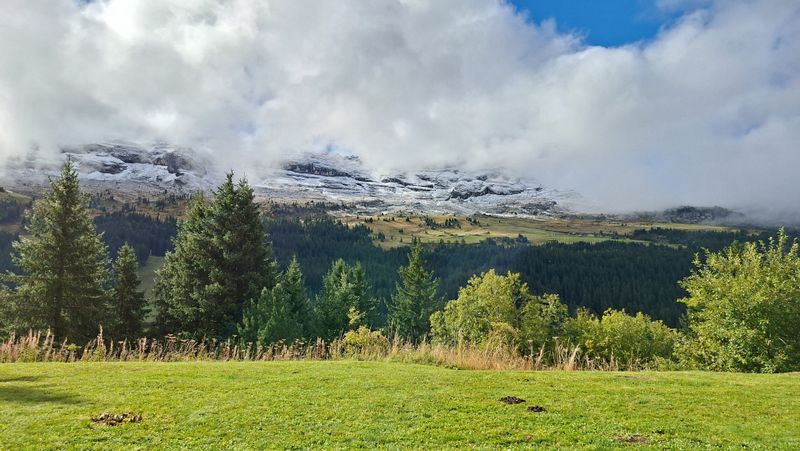 Apartements SAGITTAIRE - Flaine Forêt 1700