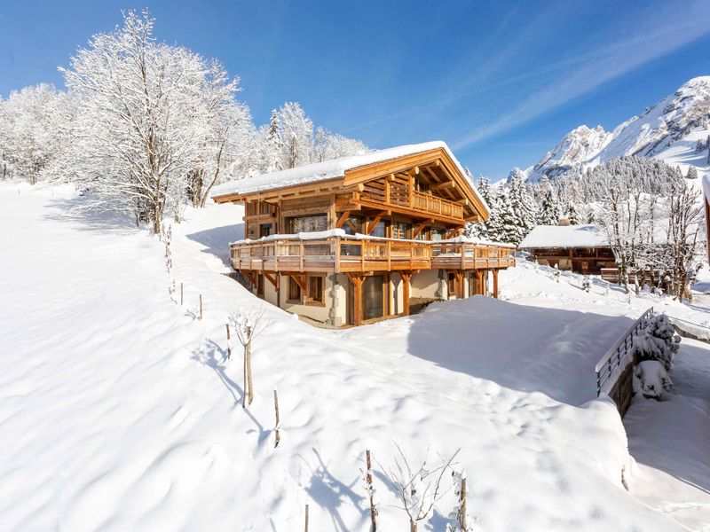 chalet 7 rooms 15 people - Chalet BALMAZ LODGE - La Clusaz