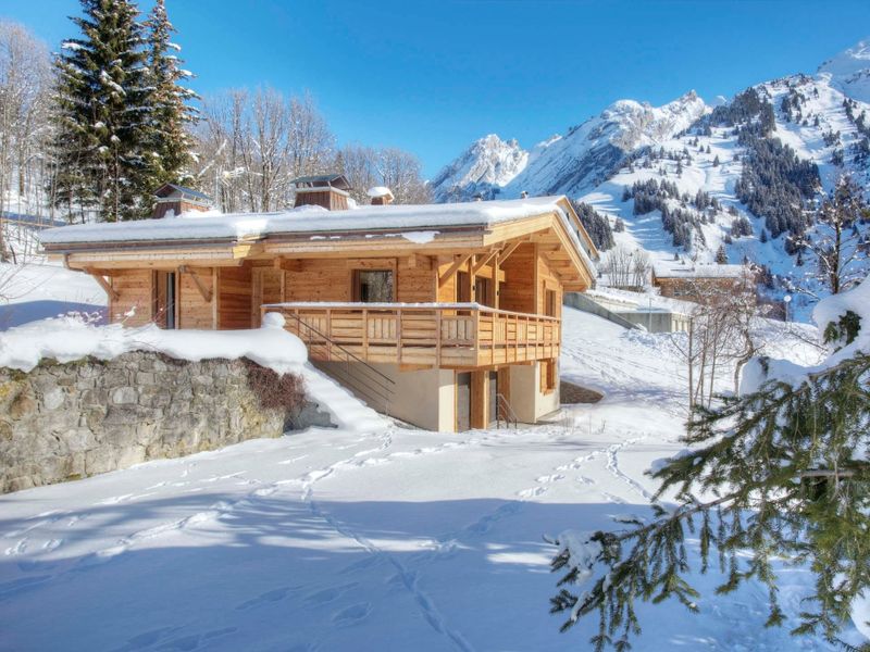 chalet 4 rooms 6 people - Chalet HELIOS LODGE - La Clusaz