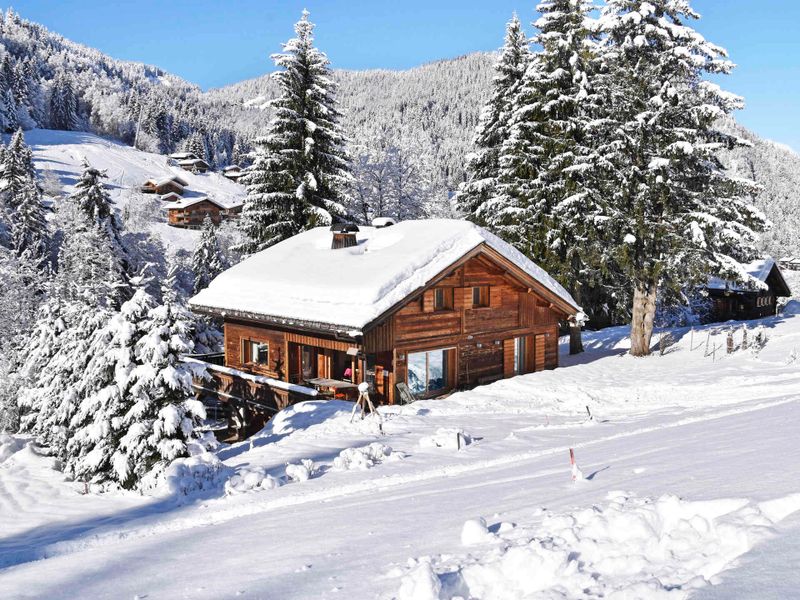 chalet 7 rooms 14 people - Chalet LODGE GRIZZLY - La Clusaz