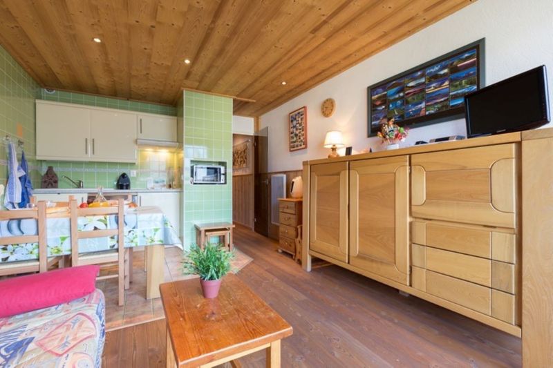 Studio 4 persons mountain view and view of the ski slopes - Studio Lauvitel N°F4 - ST4 - Les Deux Alpes Centre