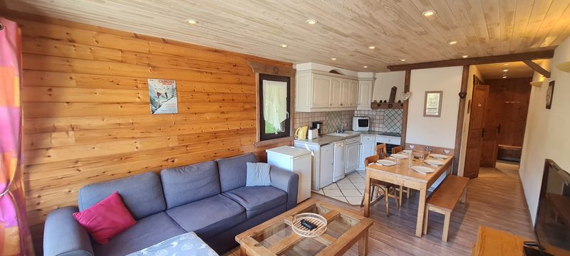 4 rooms 7 persons mountain view and view of the ski slopes - Apartements Etendard N°522 - 4P7 - Les Deux Alpes Centre