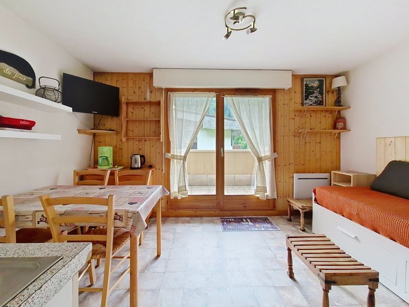 Studio 4 persons mountain view and view of the ski slopes - Studio Azalée AZ4 TELECABINE & MOUNTAIN 4 Pers. - Châtel