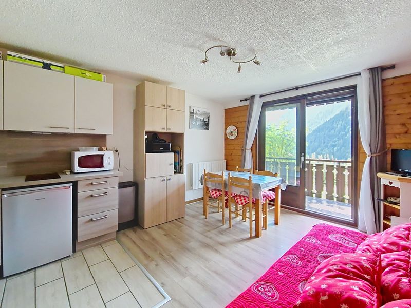 Studio 4 persons mountain view - Studio Corina CN11 QUIET & MOUNTAIN 4 Pers. - Châtel