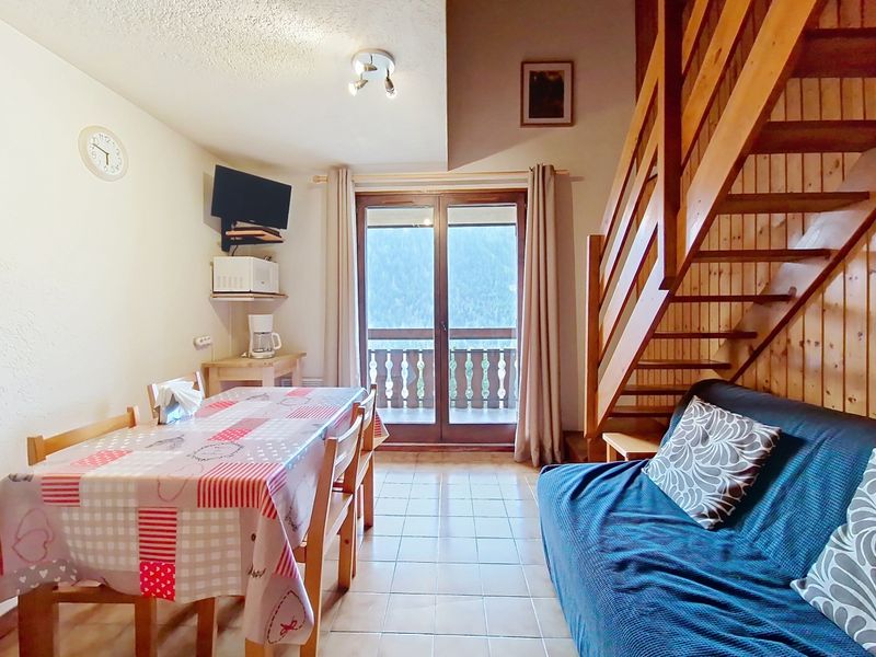 2 rooms 4 persons mountain view - Apartements Biches BIB31 MOUNTAIN & QUIET 4 Pers. - Châtel
